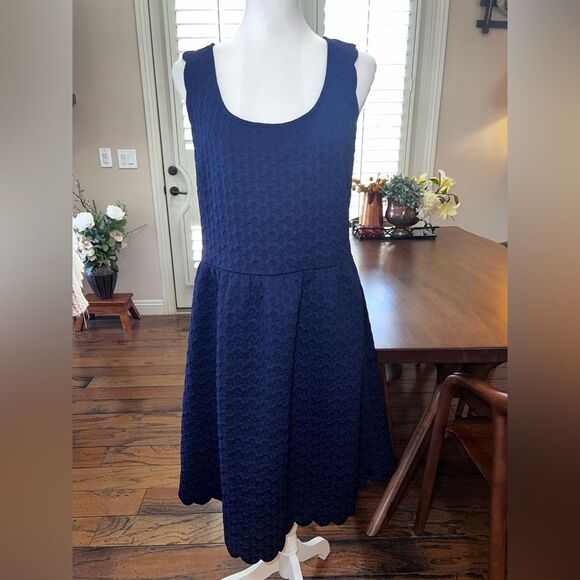 Maeve Anthropologie Navy Textured Sleeveless A-Line Dress L Scalloped Lace Back - Picture 2 of 9
